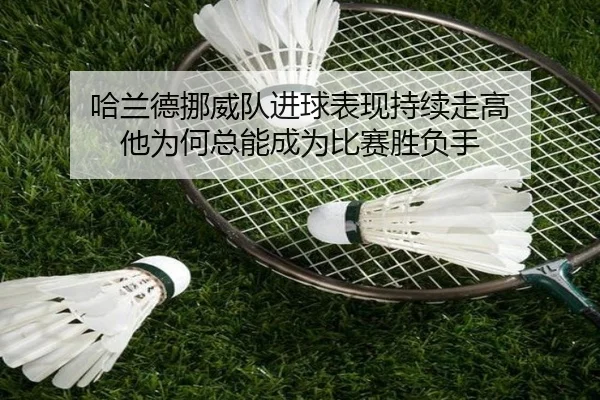 img_1780822654635_9_2_321.jpg